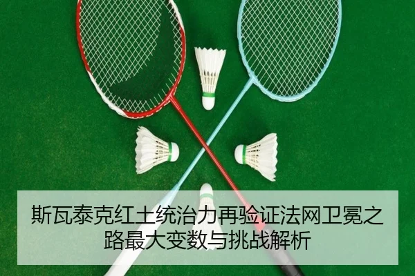si-wa-tai-ke-hong-tu-tong-zhi-li-zai-yan-zheng-fa-wang-wei-mian-zhi-lu-zui-da-bian-shu-yu-tiao-zhan-jie-xi-2-566.jpg